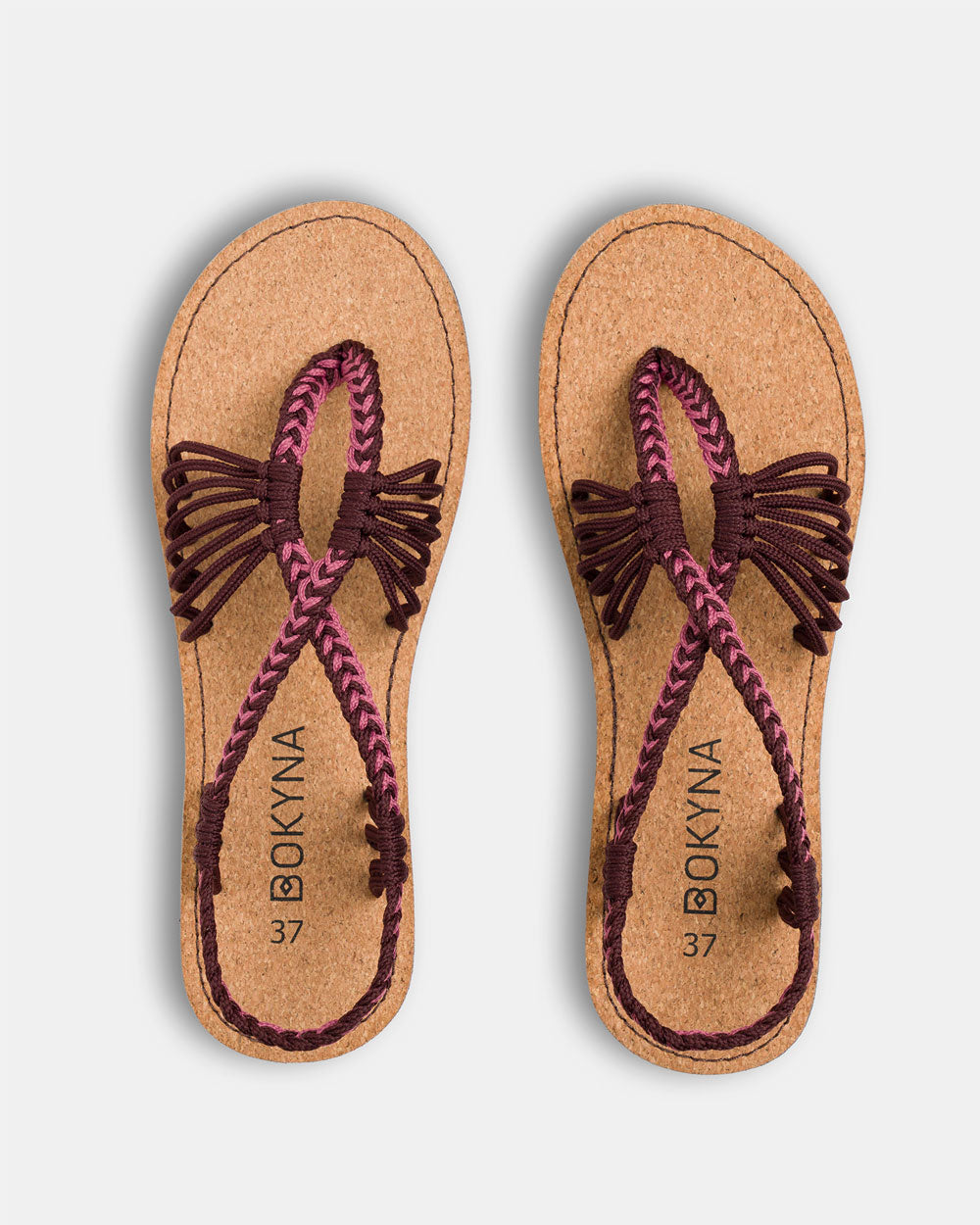 SEASTAR – Mangostan